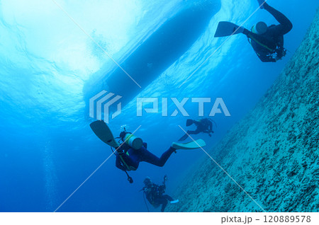西表島の海 ダイビングの風景 西表島の海 ダイビングの風景 120889578
