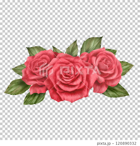 Red roses with leaves in a semicircular arrangement in realistic style in watercolor technique as a symbol of love,passion,desire.Hand-drawn watercolor illustration for Valentine's Day,Woman's day 120890332