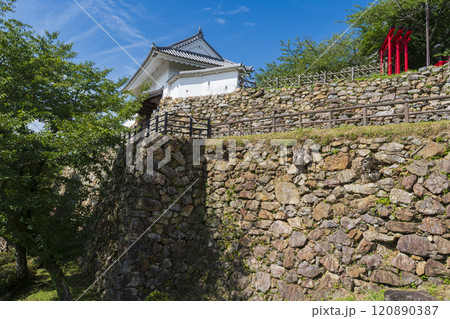 天下の出世城『浜松城」 120890387