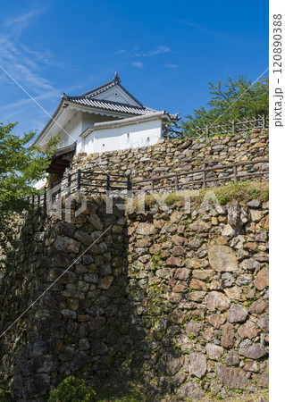 天下の出世城『浜松城」 120890388
