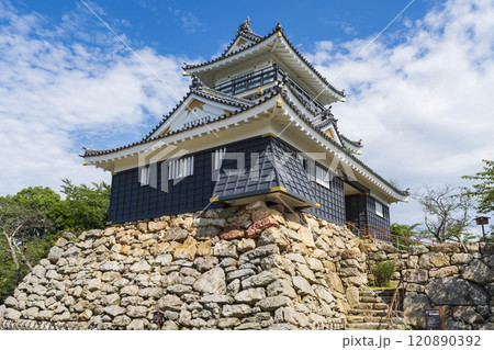 天下の出世城『浜松城」 天下の出世城『浜松城」 120890392