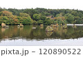 古牧温泉渋沢公園の石が浮かぶ池 120890522