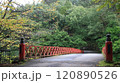 古牧温泉渋沢公園の楓林橋 120890526