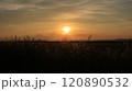 夕陽を浴びて暗闇に包まれる青森県三沢市の仏沼 120890532