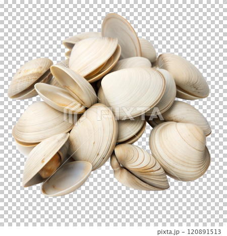 Pile of Empty Clam Shells 120891513