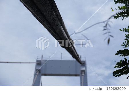 橋を支えるワイヤー 120892009