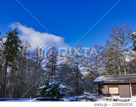 初雪に覆われた朝の風景 120892038