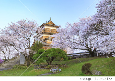 高島城の桜 120892172