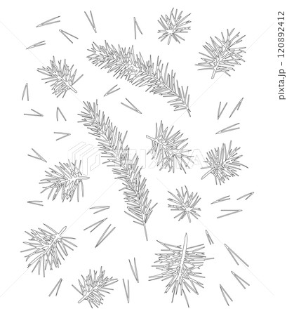 Pine branch with needles, pine needles for winter and Christmas decor. Graphic illustration hand drawn with black ink. Set of isolated objects 120892412