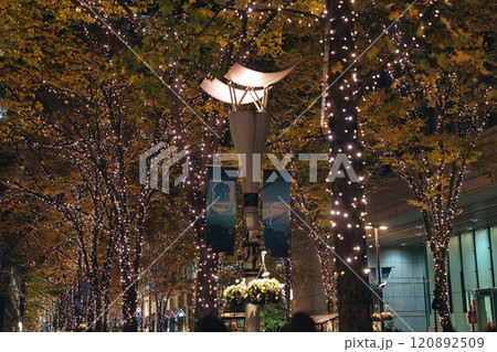 東京丸の内仲通りのイルミネーション 東京丸の内仲通りのイルミネーション 120892509