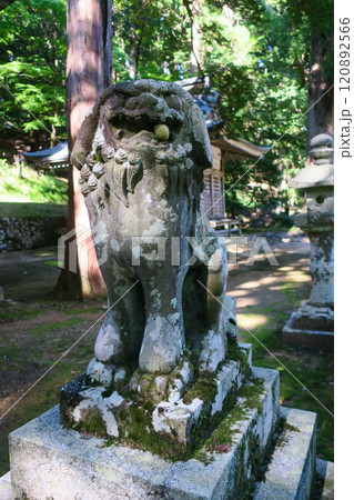 鳥取・八頭郡若桜町 若桜神社 狛犬 鳥取・八頭郡若桜町 若桜神社 狛犬 120892566