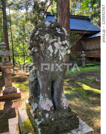 鳥取・八頭郡若桜町 若桜神社 狛犬 鳥取・八頭郡若桜町 若桜神社 狛犬 120892567