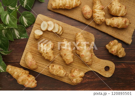 菊芋・キクイモ 菊芋・キクイモ 120893501