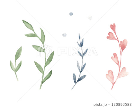 Branches Set in Pastel colors. Hand drawn Watercolor floral illustration isolated on a white background. Design elements for romantic and kids designs, templates, greeting cards and prints. 120893588