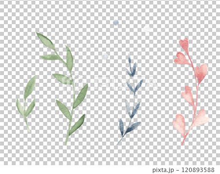 Branches Set in Pastel colors. Hand drawn Watercolor floral illustration isolated on a white background. Design elements for romantic and kids designs, templates, greeting cards and prints. 120893588