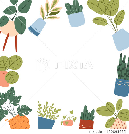 Template with indoor plants and empty space for text. Vector illustration in flat style. Template with text box and house plants. 120893655