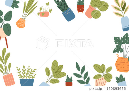 Template with indoor plants and empty space for text. Vector illustration in flat style. Template with text box and house plants. 120893656