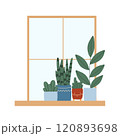 Indoor plants in a pot on the window. House plants stand on the windowsill. Vector illustration.Flat style. Modern plants in pots. 120893698