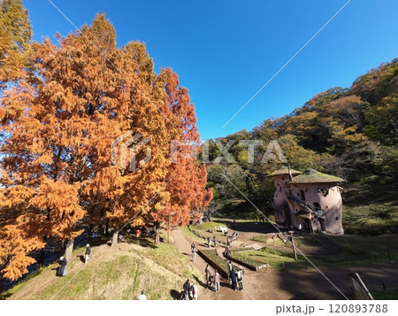 ムーミン谷の紅葉 120893788