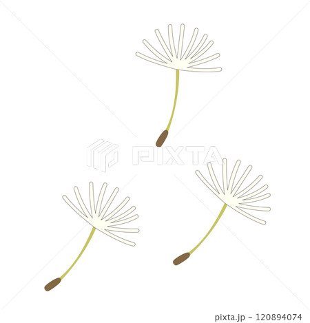 タンポポの綿毛が飛んでいく様子を表したイラスト タンポポの綿毛が飛んでいく様子を表したイラスト 120894074