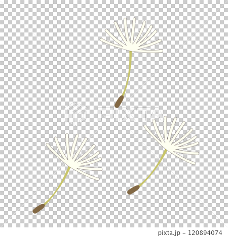 タンポポの綿毛が飛んでいく様子を表したイラスト タンポポの綿毛が飛んでいく様子を表したイラスト 120894074