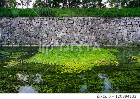 二条城 北大手門・北堀(京都府京都市) 二条城 北大手門・北堀(京都府京都市) 120894132