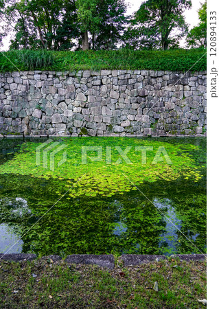 二条城 北大手門・北堀(京都府京都市) 二条城 北大手門・北堀(京都府京都市) 120894133