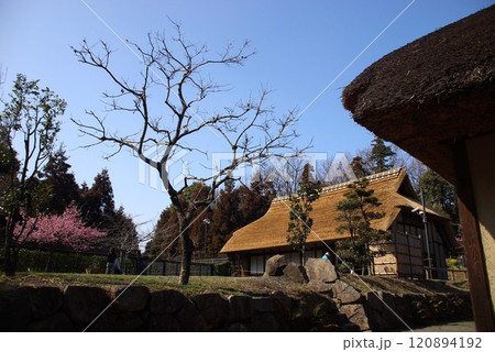 大和市重要有形文化財郷土民家園1 大和市重要有形文化財郷土民家園1 120894192