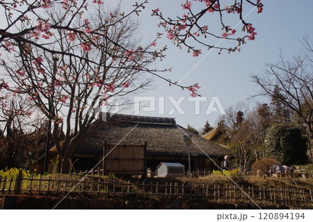 大和市重要有形文化財郷土民家園3 120894194