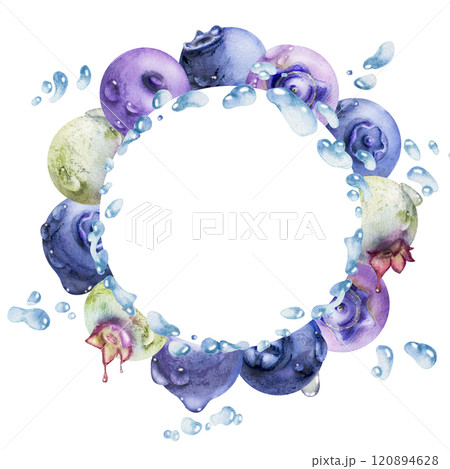Blueberry blackberry, drops flying in water splash, hand drawn in watercolor, ripe summer forest berry. Isolated wreath frame illustration. Restaurant, cafe sweets menu, farmers market, recipe book Blueberry blackberry, drops flying in water splash, hand drawn in watercolor, ripe summer forest berry. Isolated wreath frame illustration. Restaurant, cafe sweets menu, farmers market, recipe book 120894628