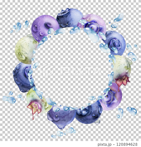Blueberry blackberry, drops flying in water splash, hand drawn in watercolor, ripe summer forest berry. Isolated wreath frame illustration. Restaurant, cafe sweets menu, farmers market, recipe book Blueberry blackberry, drops flying in water splash, hand drawn in watercolor, ripe summer forest berry. Isolated wreath frame illustration. Restaurant, cafe sweets menu, farmers market, recipe book 120894628