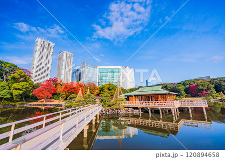 東京の安らぎ空間、紅葉が美しい浜離宮恩賜庭園 120894658