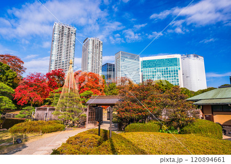 東京の安らぎ空間、紅葉が美しい浜離宮恩賜庭園 120894661