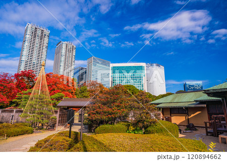東京の安らぎ空間、紅葉が美しい浜離宮恩賜庭園 東京の安らぎ空間、紅葉が美しい浜離宮恩賜庭園 120894662