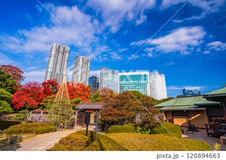 東京の安らぎ空間、紅葉が美しい浜離宮恩賜庭園 東京の安らぎ空間、紅葉が美しい浜離宮恩賜庭園 120894663