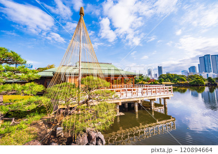 東京の安らぎ空間、紅葉が美しい浜離宮恩賜庭園 120894664