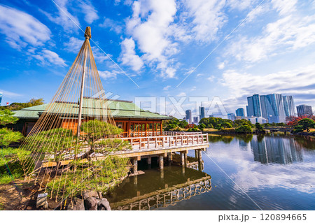 東京の安らぎ空間、紅葉が美しい浜離宮恩賜庭園 東京の安らぎ空間、紅葉が美しい浜離宮恩賜庭園 120894665