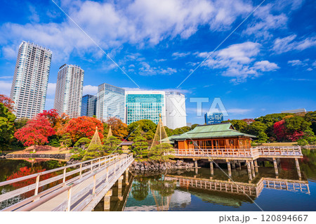 東京の安らぎ空間、紅葉が美しい浜離宮恩賜庭園 120894667