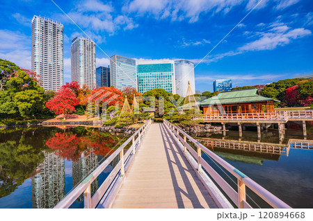 東京の安らぎ空間、紅葉が美しい浜離宮恩賜庭園 120894668