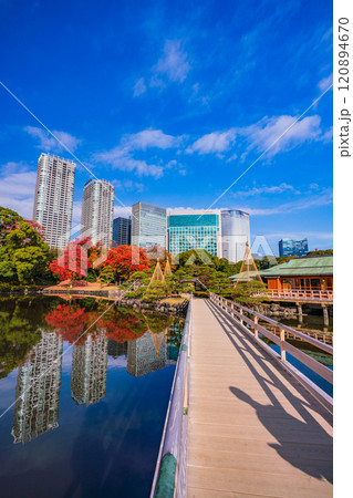 東京の安らぎ空間、紅葉が美しい浜離宮恩賜庭園 120894670