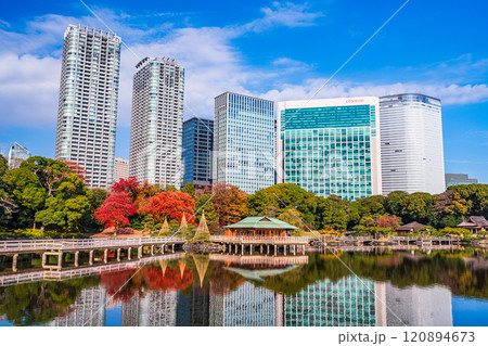東京の安らぎ空間、紅葉が美しい浜離宮恩賜庭園 120894673