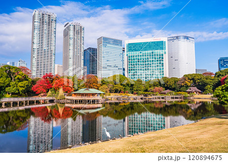 東京の安らぎ空間、紅葉が美しい浜離宮恩賜庭園 東京の安らぎ空間、紅葉が美しい浜離宮恩賜庭園 120894675