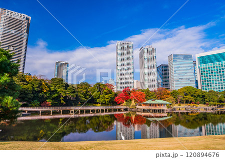 東京の安らぎ空間、紅葉が美しい浜離宮恩賜庭園 120894676