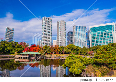 東京の安らぎ空間、紅葉が美しい浜離宮恩賜庭園 東京の安らぎ空間、紅葉が美しい浜離宮恩賜庭園 120894677