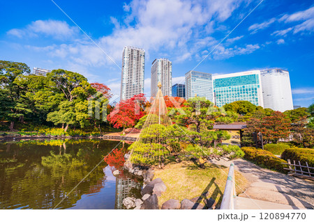 東京の安らぎ空間、紅葉が美しい浜離宮恩賜庭園 東京の安らぎ空間、紅葉が美しい浜離宮恩賜庭園 120894770