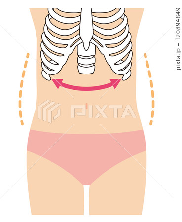 開いた肋骨　寸胴体型 120894849