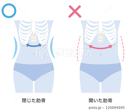 開いた肋骨 閉じた肋骨 開いた肋骨 閉じた肋骨 120894895