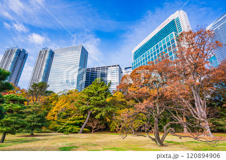東京の安らぎ空間、紅葉が美しい浜離宮恩賜庭園 東京の安らぎ空間、紅葉が美しい浜離宮恩賜庭園 120894906