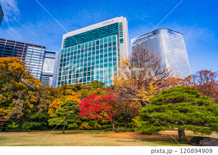東京の安らぎ空間、紅葉が美しい浜離宮恩賜庭園 120894909