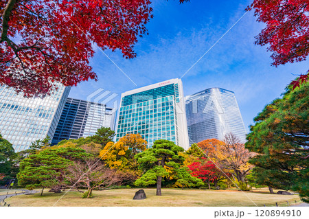 東京の安らぎ空間、紅葉が美しい浜離宮恩賜庭園 120894910